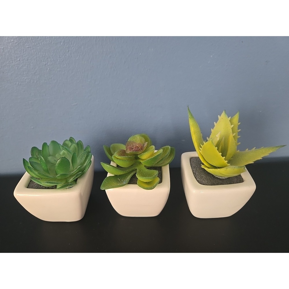 3 Green Assorted Faux Echeveria Succulent Plants White Ceramic Pots Party